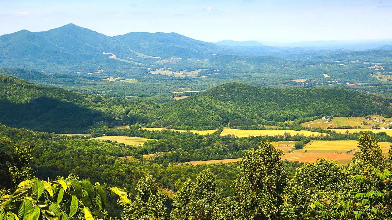 A view across fields with greenery covering them and mountains in the background