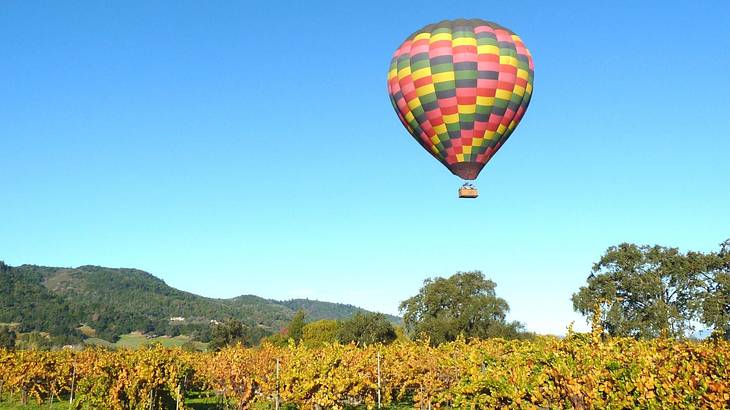 A hot air balloon flying over vineyards with mountains and blue sky behind it