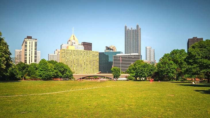 An area of green grass with trees on it and tall buildings behind it An area of green grass with trees on it and tall buildings behind it