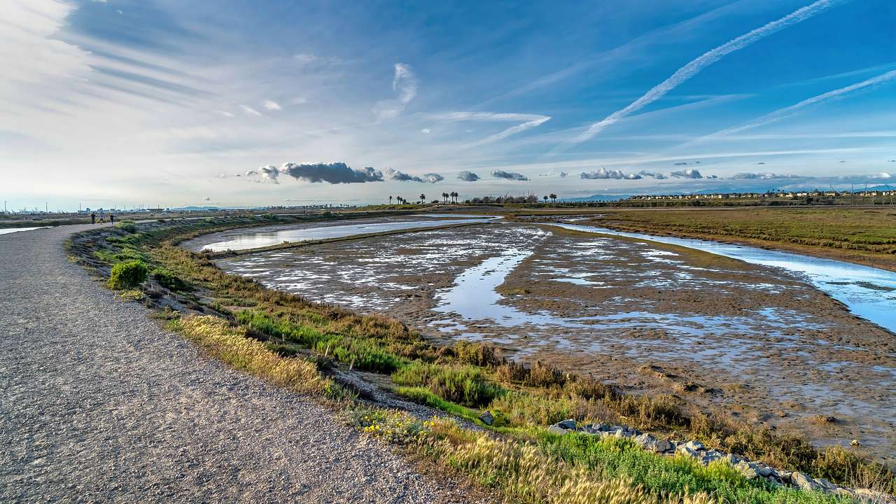 A dirt path and wet coastal land under a blue sky with some clouds