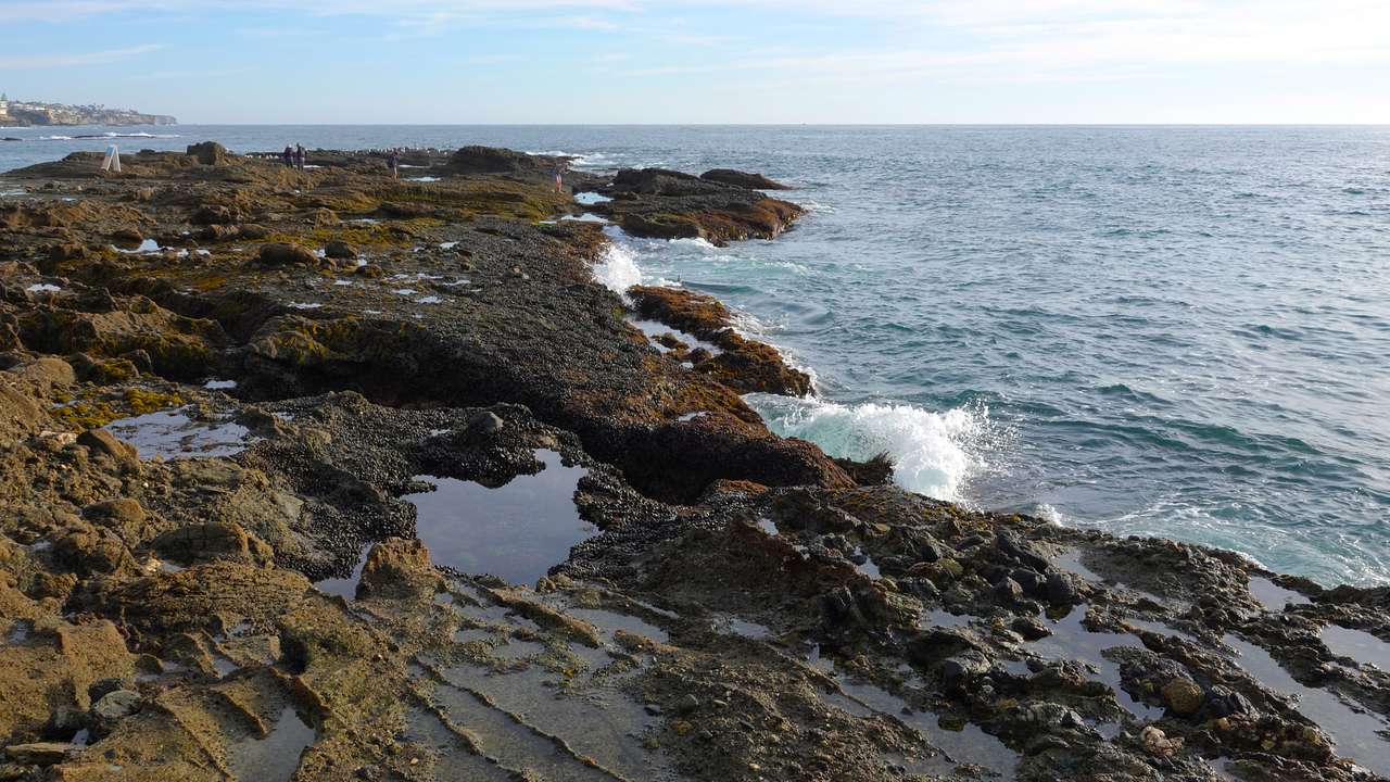 A rock shore with tide pools and ocean water surrounding them