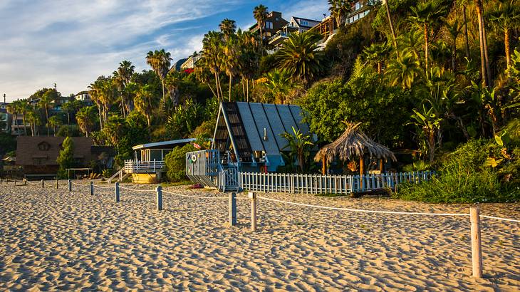 A sandy beach with green palm trees and small houses