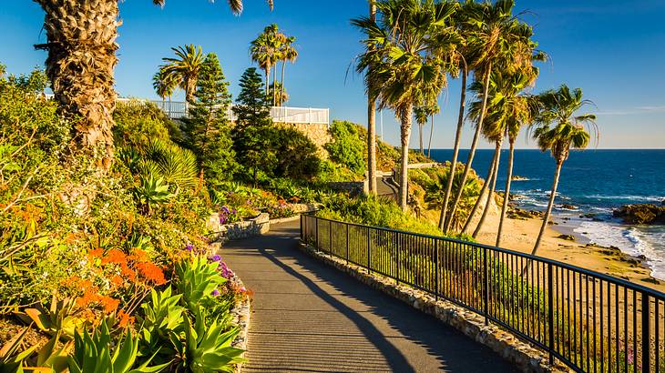 A path with palm trees and greenery on one side and a beach on the other