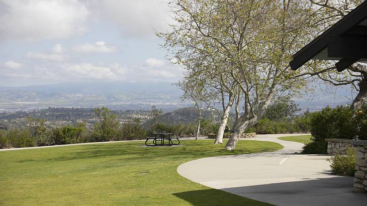 Green grass in a park with a path to the side and trees surrounding