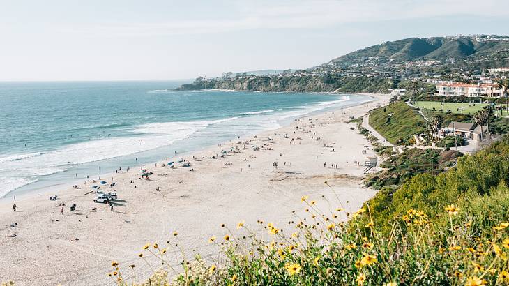 A white sandy beach with ocean to one side and greenery and hills to the other