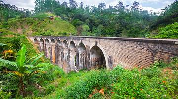 Forest, Nine Arches Bridge, Ella, Sri Lanka