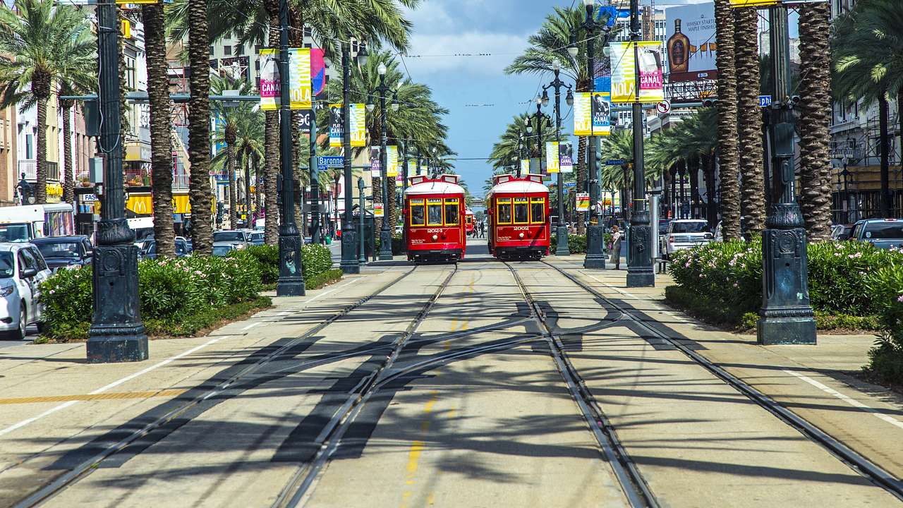 Red streetcars on the road with palm trees and black streetlamps on either side