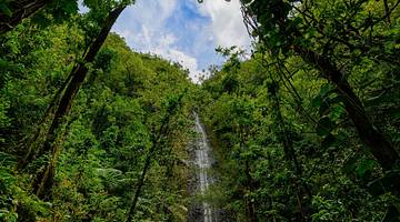 Hiking to Manoa Falls is one of the romantic things to do in Oahu for couples