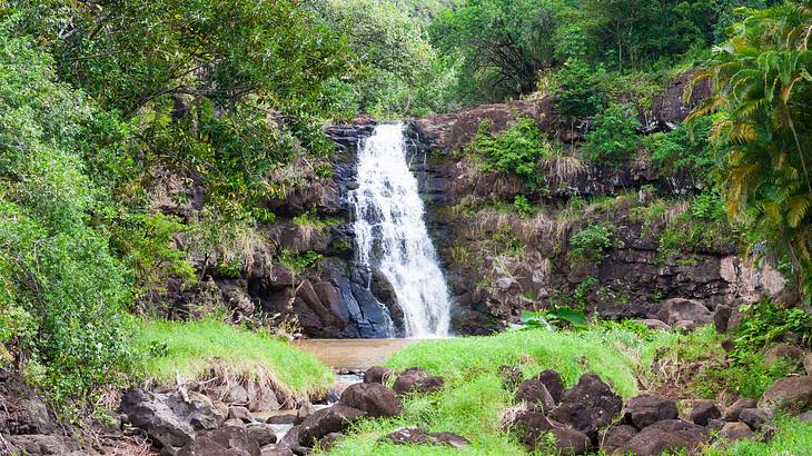 A waterfall surrounded by greenery A waterfall surrounded by greenery