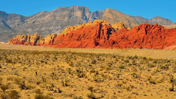 Red rock mountains with desert sand and a bit of greenery in front under blue sky