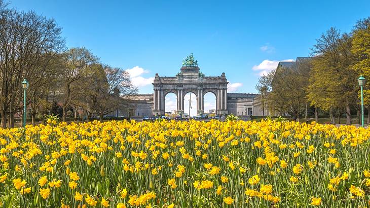 A 3-arched monument at the back of a park with a field of yellow flowers in front