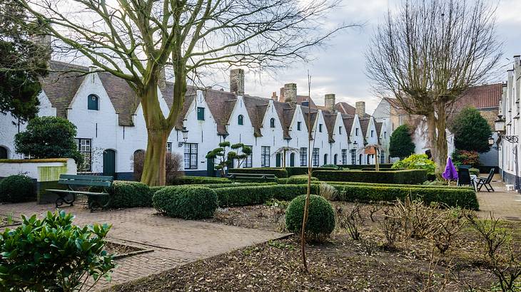 A row of old whitewashed houses behind landscaped bushes and leafless trees