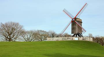 Traditional windmill on a grass-covered field with trees at the back on a clear day
