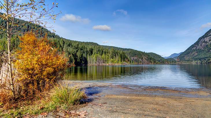 View of a lake surrounded by hills and trees, Buntzen Lake, BC, Canada