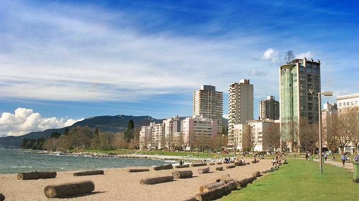 A beach lined with logs and green grass with buildings and mountains at the back