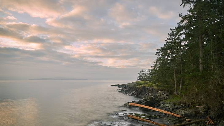 The shoreline of an island, Salt Spring Island, BC, Canada