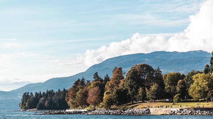 View of mountains, trees, a park and the ocean, Vancouver, BC, Canada