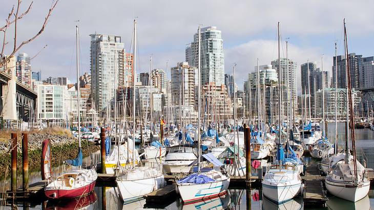 Marina filled with boats and condominiums in the background, Granville Island, BC