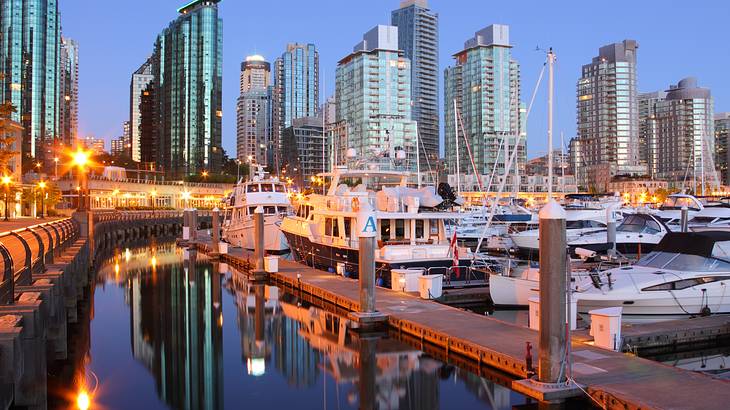 A downtown harbour filled with boats, a dock and high-rise buildings at dawn