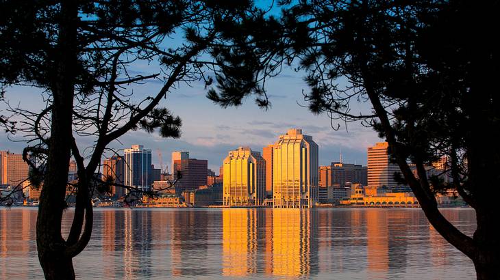 Halifax skyline at sunrise with buildings and water behind trees, Nova Scotia, Canada