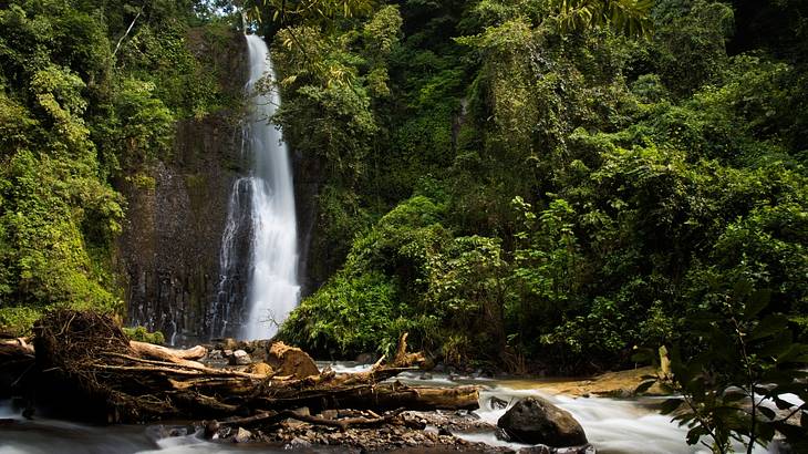Logs and rocks at the bottom of drizzling waterfalls in a lush paradise