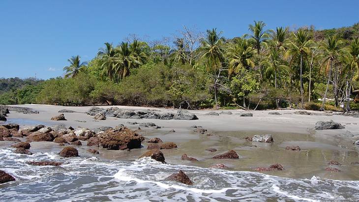 Tropical vegetation facing a sandy beach with some rocks on a sunny day