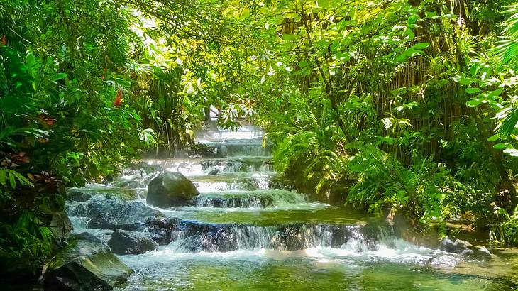 A boulder in a multi-leveled stream that runs through a lush green rainforest