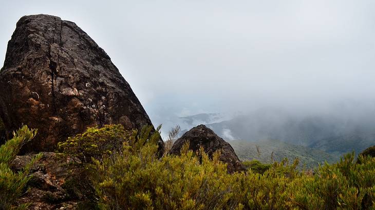 Huge boulders with vegetation on the bottom and fog in the background