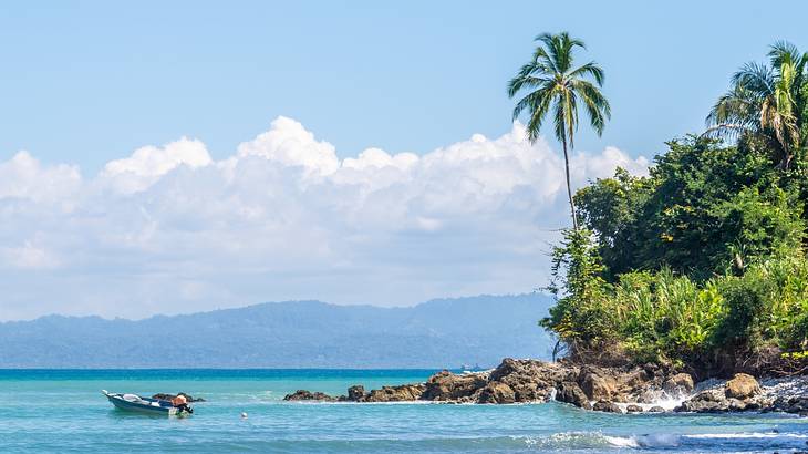 Small boat on blue water near a rocky coast with tropical trees and plants Small boat on blue water near a rocky coast with tropical trees and plants