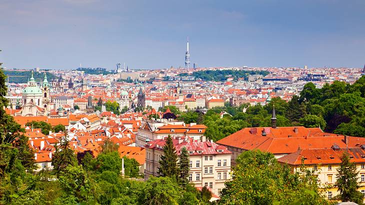 A city skyline full of houses with red roofs and trees from a hilltop A city skyline full of houses with red roofs and trees from a hilltop