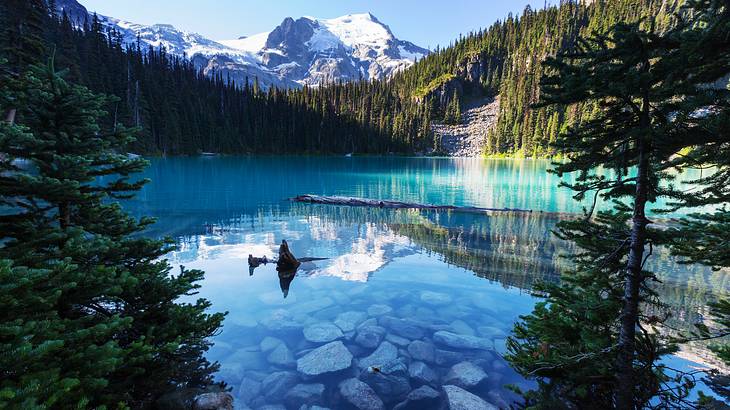 A view of crystal-clear, blue water, trees and mountains, BC A view of crystal-clear, blue water, trees and mountains, BC