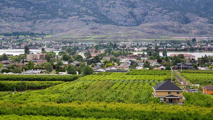 A view of houses and farms with a hill in the backdrop, Osoyoos, BC, Canada
