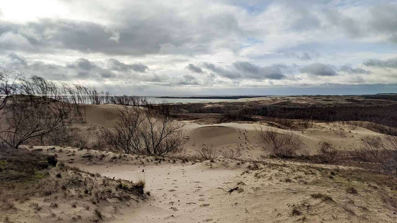 View from Parnidis Dune of sand dunes, Lithuania