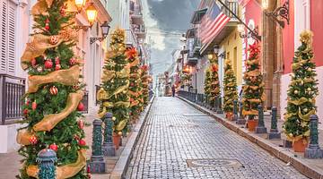 A street lined with Christmas trees, one of the important Puerto Rico traditions