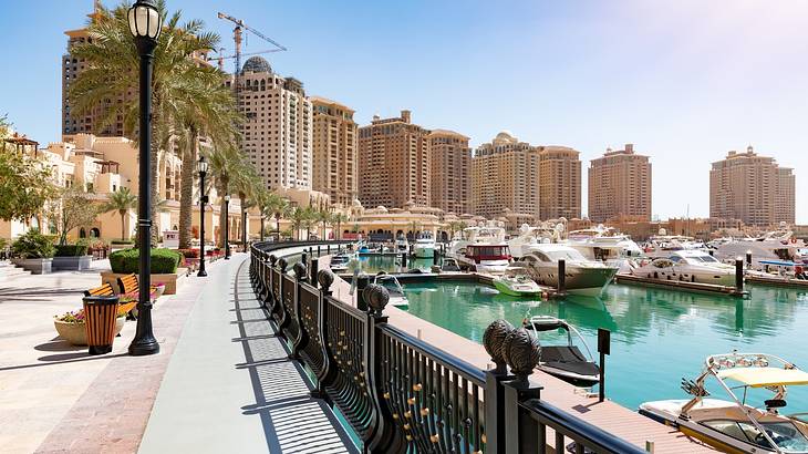 A walkway at a marina waterfront with boats, palm trees and towering buildings