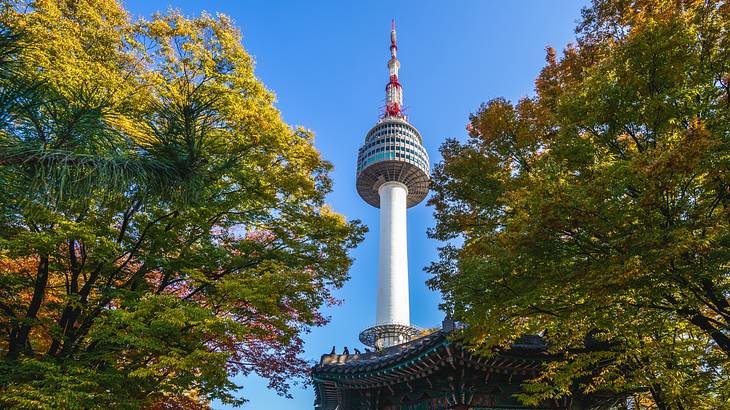 Looking up at an observation tower with blue sky around, next to green trees