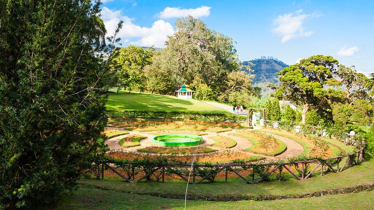 A green lawn surrounding a circular garden with trees around A green lawn surrounding a circular garden with trees around