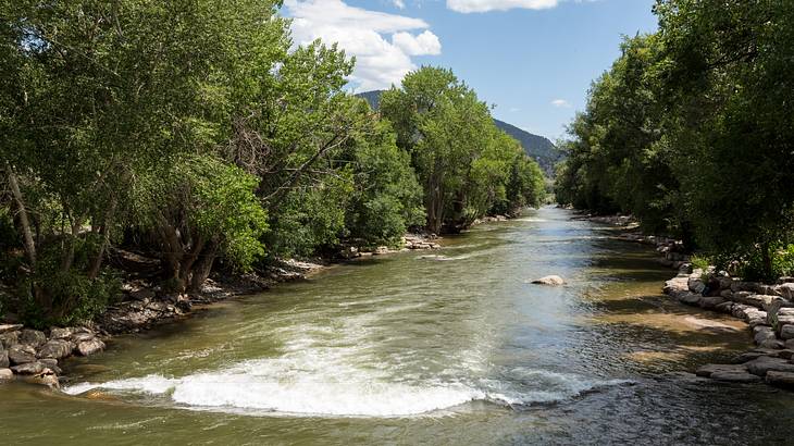 A rocky river surrounded by greenery with a mountain in the background on a sunny day