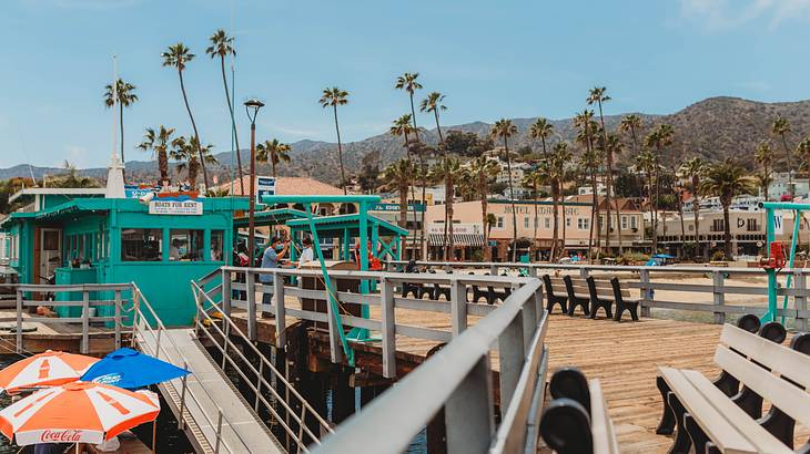 Wooden pier with benches, umbrellas, and palm trees in the background