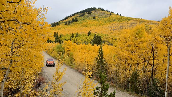 Orange vehicle passing through yellow-colored trees on a mountain road