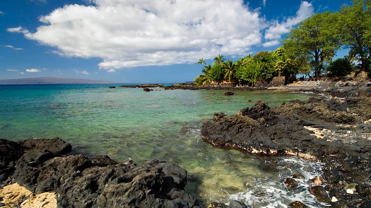 Clear ocean flowing into black rocks surrounded by trees and blue sky Clear ocean flowing into black rocks surrounded by trees and blue sky