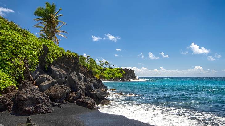 A black rocky sand beach surrounded by lush greenery, a palm tree, and blue water