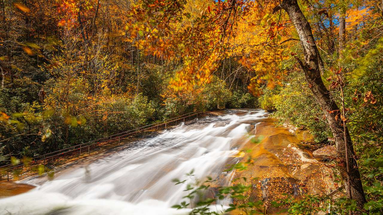 Cascading water stream flows over a rocky bed with autumn foliage on each side