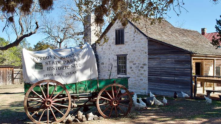 Chickens roaming near a wooden carriage in front of an old white country house