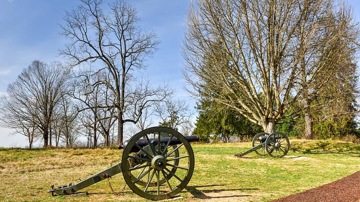 Ancient cannons on a grassy green lawn with tall bare trees in the backdrop