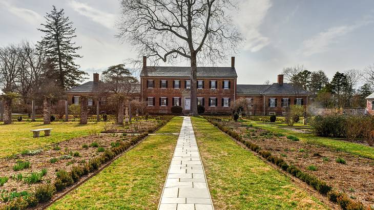 Bricked mansion with a big tree at the end of a path walk with green grass around