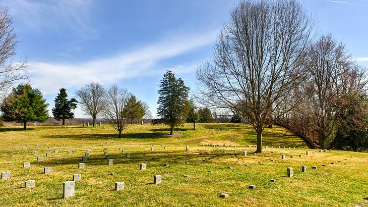 Old tombstones on green and golden grass with large trees in the distance