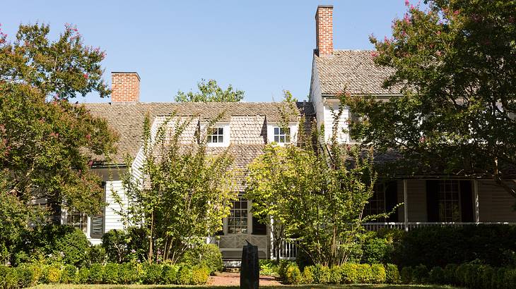 Yard with plants and trees in front of a white wooden home with a gable roof