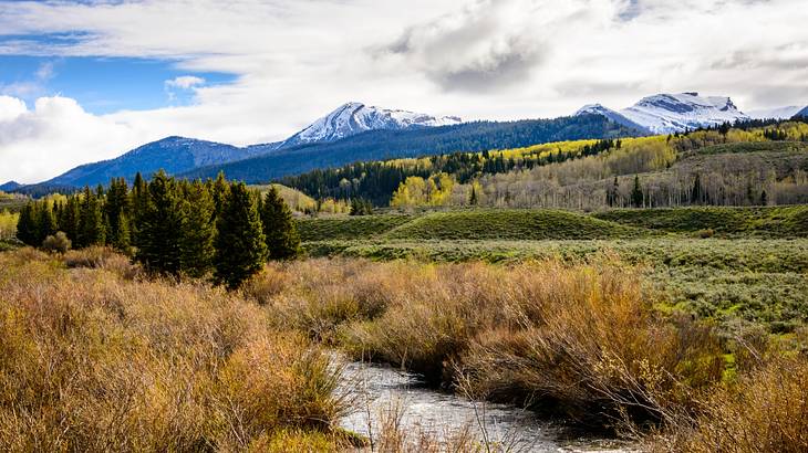 Grasslands and a river next to trees and snow-capped mountains