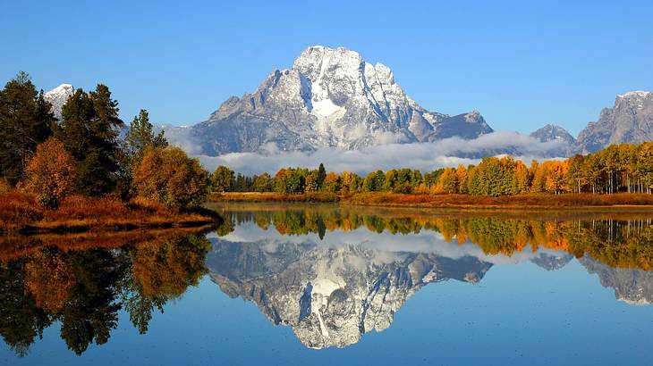 A snow-capped mountain reflected in a lake next to fall trees